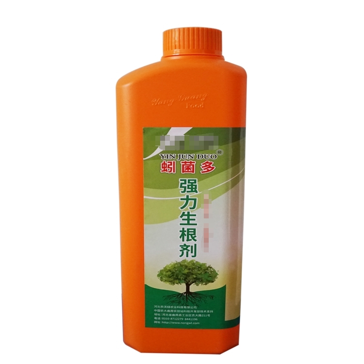 (qing)